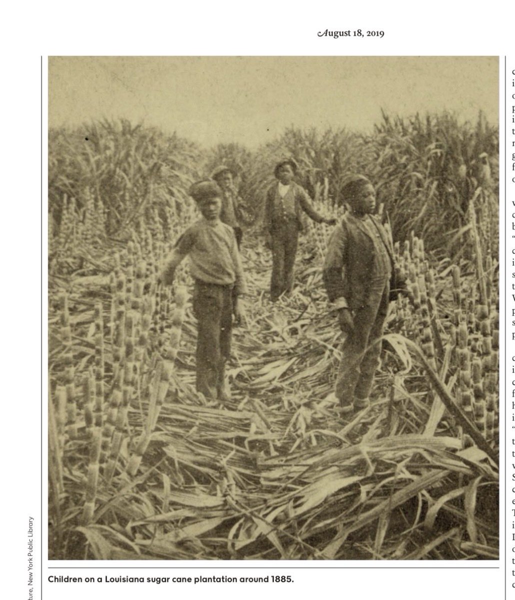 queenie4rmnola's tweet image. A lot of people think all forms of slavery were the same, but that’s not true. Consider for instance the brutality of sugar slavery in Louisiana

“The historian Michael Tadman found that Louisiana sugar parishes had a pattern of ‘‘deaths exceeding births.’’ Backbreaking labor and…