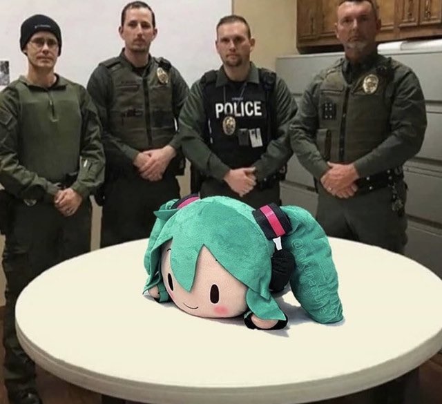 More dangerous &amp; addictive contraband has been removed from our streets!