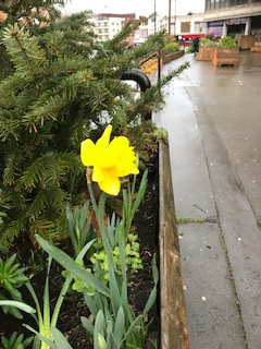 Thornton Heath Community Action Team tweet media