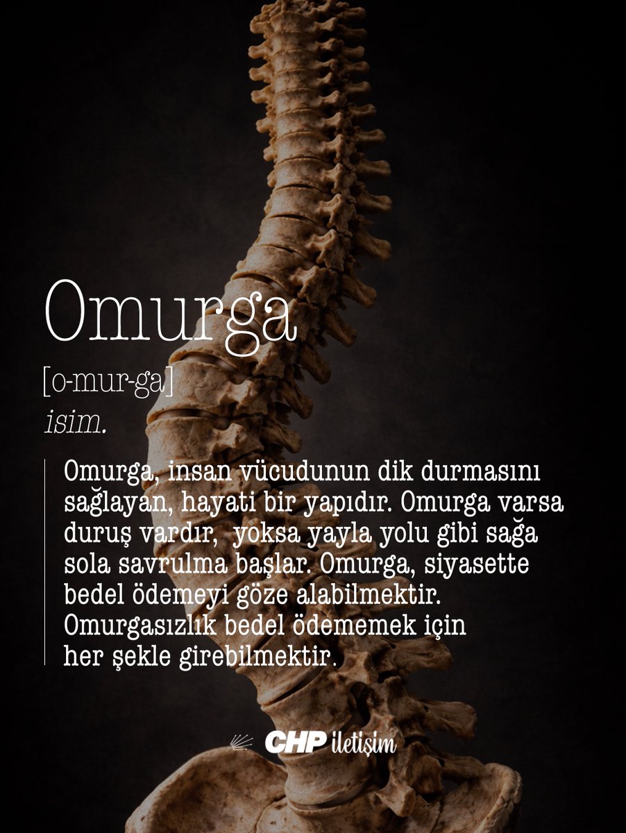 Günün kelimesi: Omurga