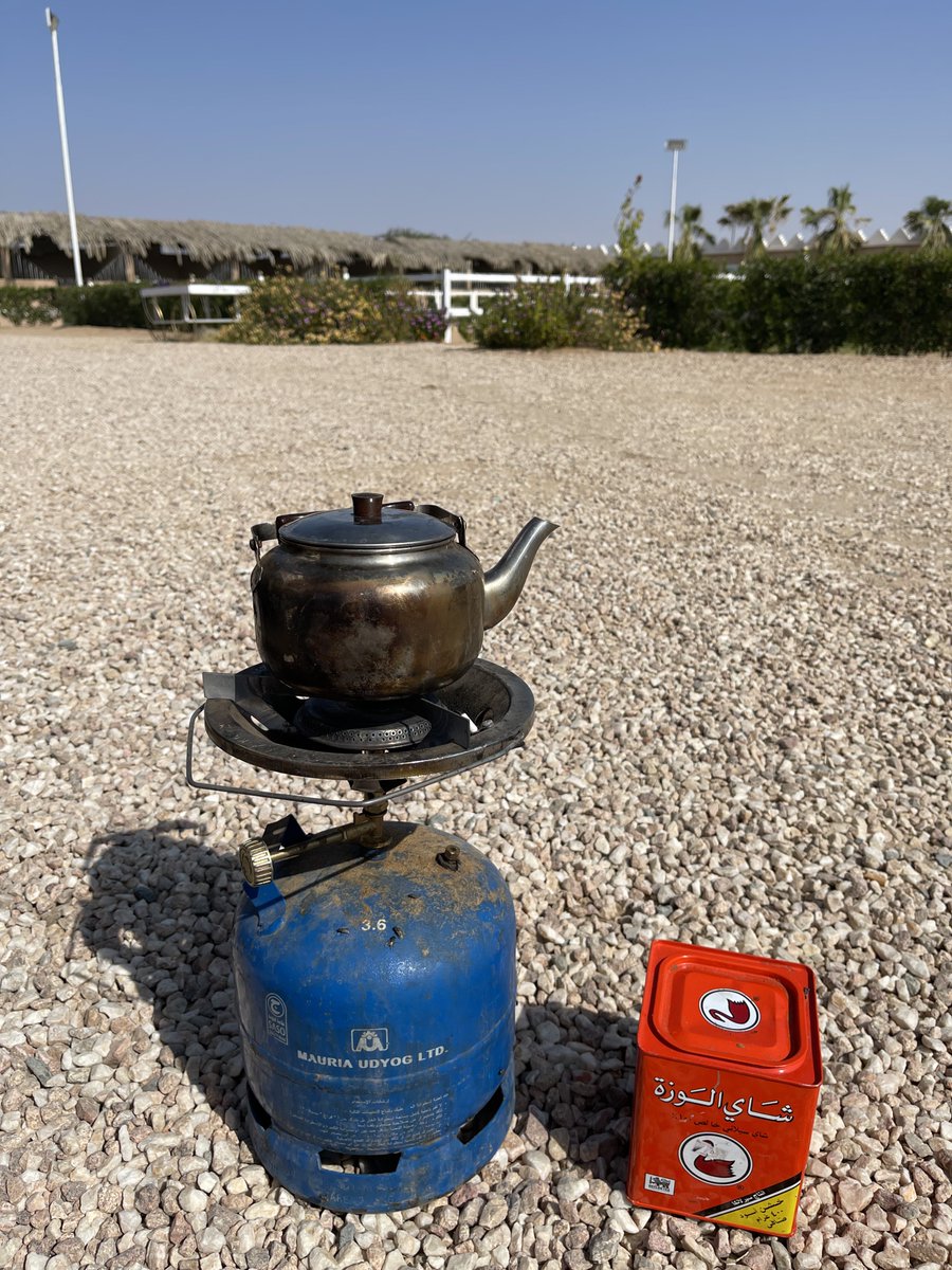 anothertry12's tweet image. زميل شاهي