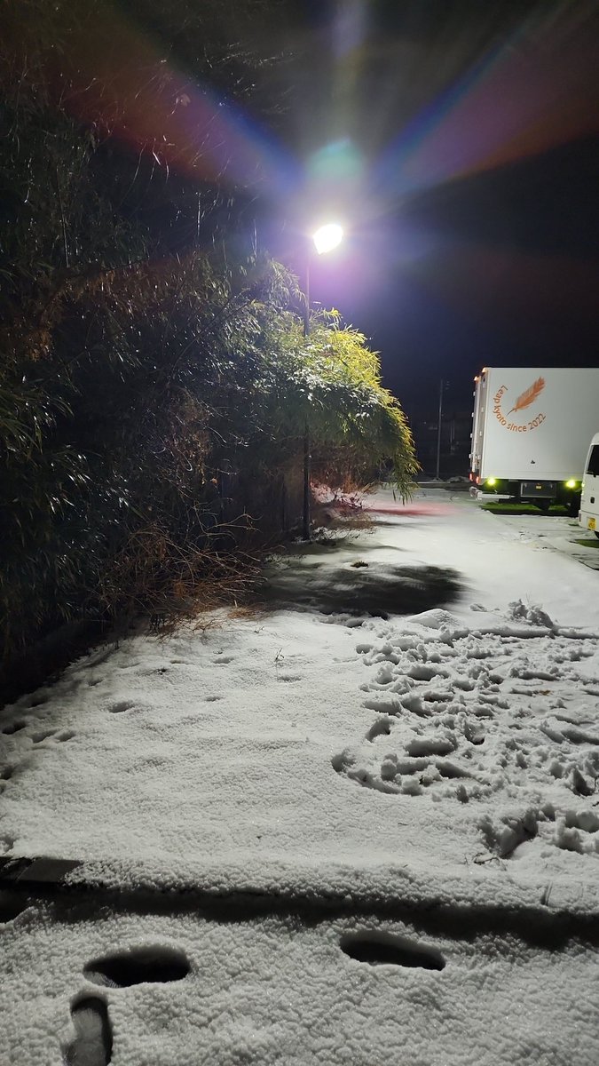 冷え込みすごい