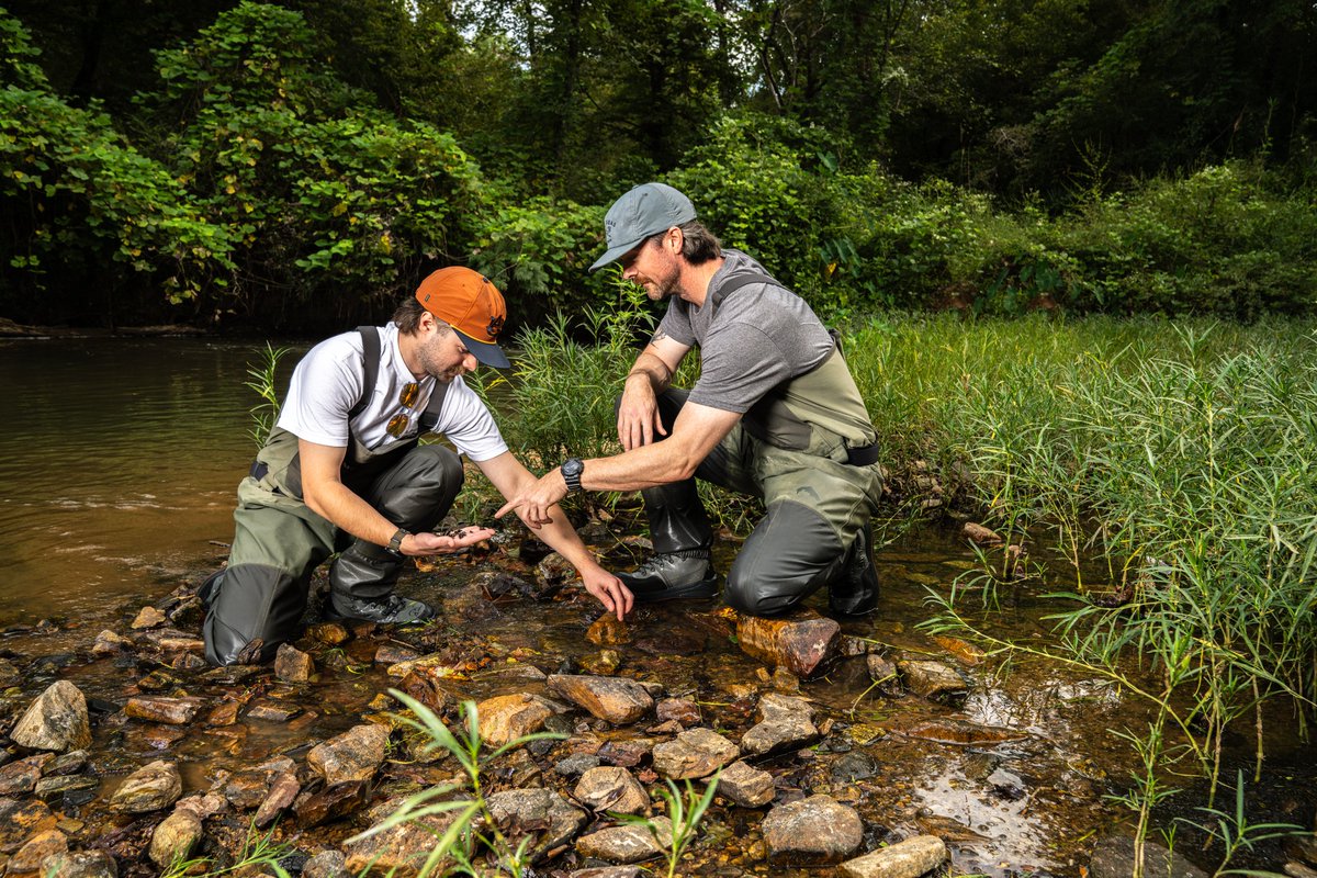Auburn University SFAAS tweet media