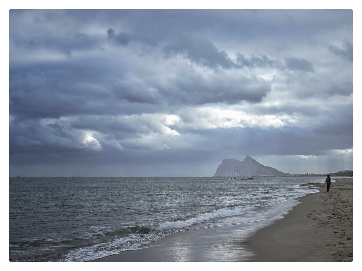 Not My Circus Not My 🐒 tweet media