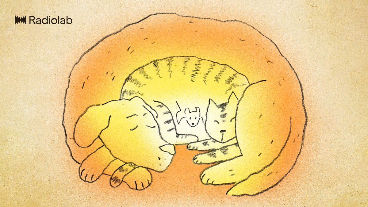 Radiolab's tweet image. This week on Radiolab: We break the thermometer and watch the mercury spill out as we discover that temperature is far stranger than it seems. We've got five stories that run the gamut from snakes to stars. 

Listen to Kleptotherms: lnk.to/radiolab?utm_s…