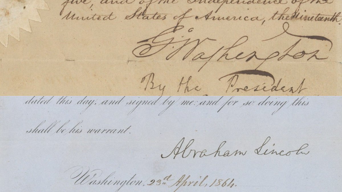 The Raab Collection tweet media