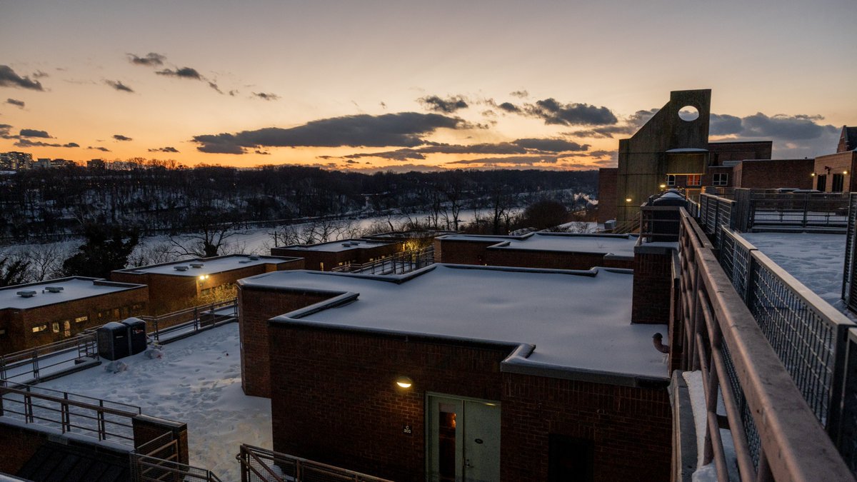 Georgetown University tweet media