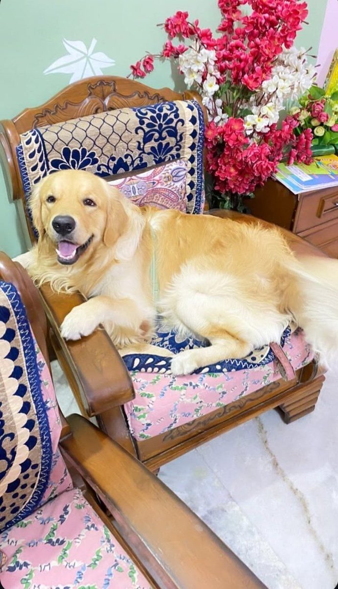 Miss Inimitable_ tweet media