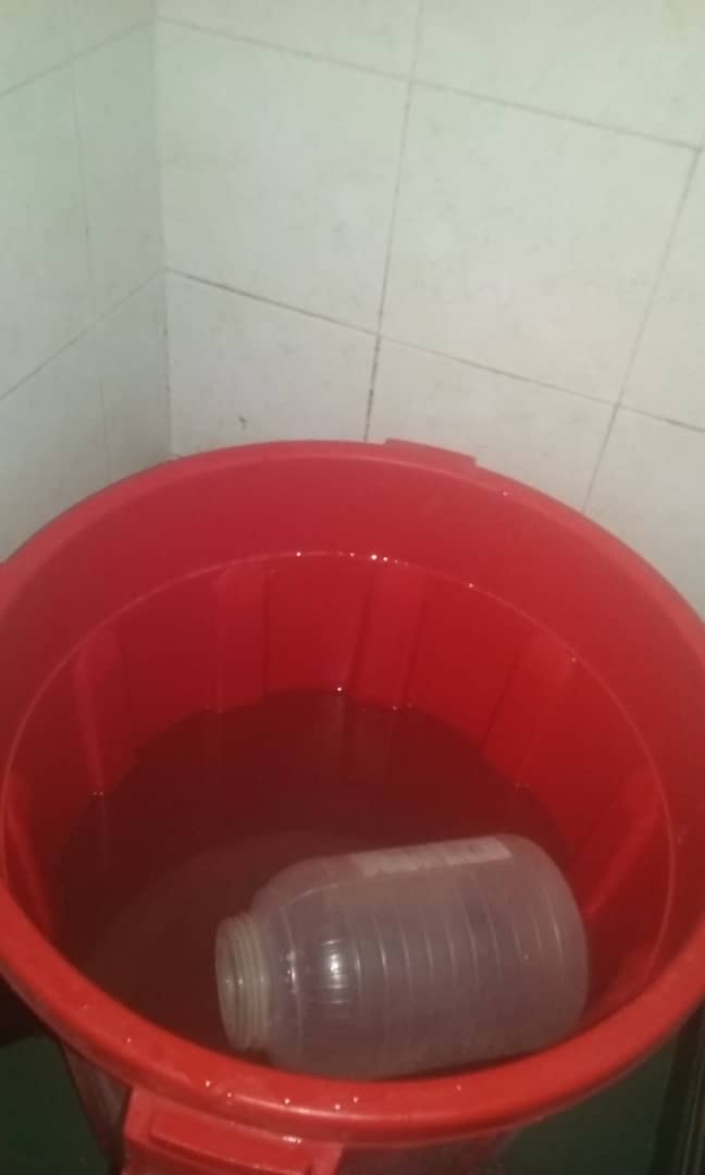 A Bad Bunny solo le faltó agregar esto para completar la representación Latina