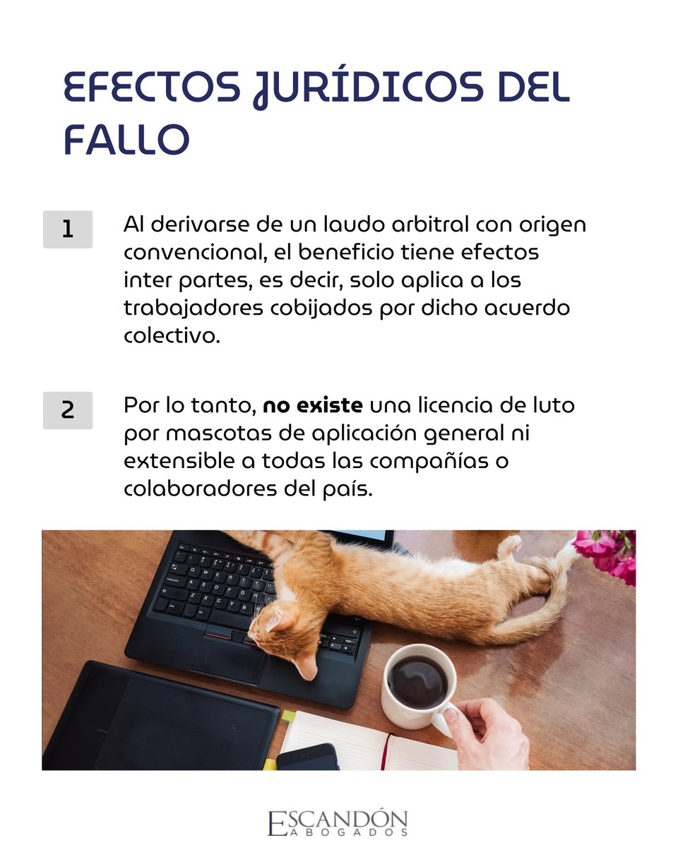 EscandonLaboral's tweet photo. ¿#Licencia de luto por #mascotas?

En #Colombia no existe de forma general. 

El caso corresponde a un beneficio extralegal pactado en #negociación colectiva, con efectos solo inter partes.

Más temas de actualidad #laboral en: 
https://t.co/Yw0WVCW5Gp https://t.co/q8x8ZPfGZv
