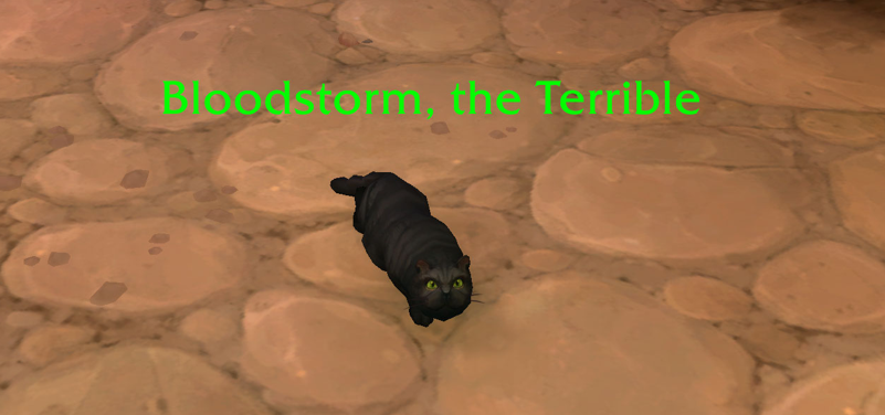 FelboundPhoenix's tweet photo. Bloodstorm is the best kitty in Midnight, no one can tell me otherwise. 

#worldofwarcraft #Midnight https://t.co/ojsnRWBBGJ