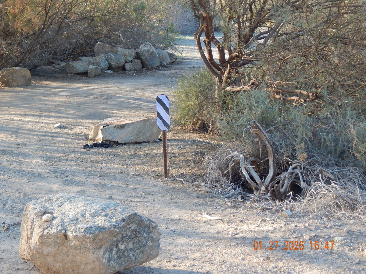 BAEkingfisher's tweet image. #Shellback #MaxMartin #IPR