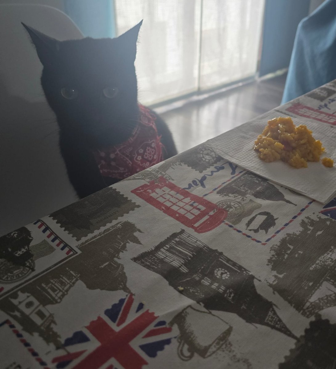 Las fotos que me ha pasado mi madre JAJAAJAJAJAJAJAJAJAJAAJJ