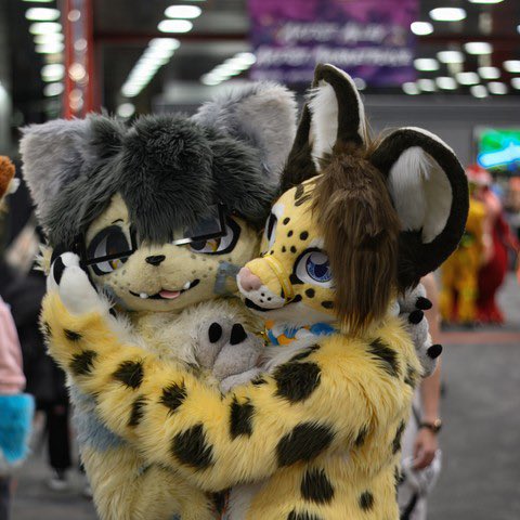 spud 🌙🔜BWS tweet media