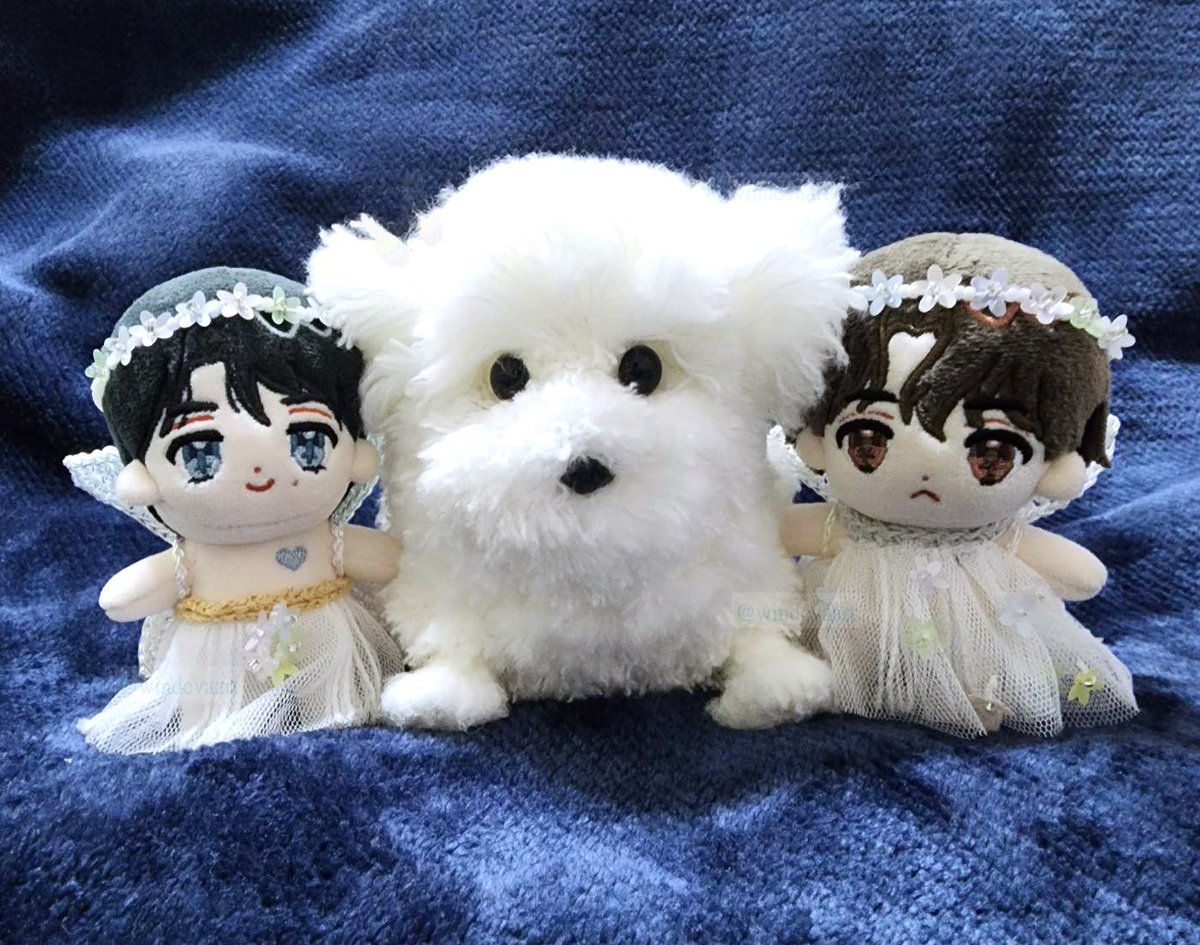 windevaart's tweet image. 謝謝 푸죠킹老師(@fujoking_bbu)!!  
我帶了孩子們去見老師(他們當天是走精靈風)。老師很親切，孩子們回家會向其他孩子炫耀的!!  🥰💖

我用毛線做了一隻小狗送給老師，希望老師會喜歡這份禮物!! 😳🐶

期待老師再來台灣喔!!🙏🫶

#PAYBACK
 #페이백