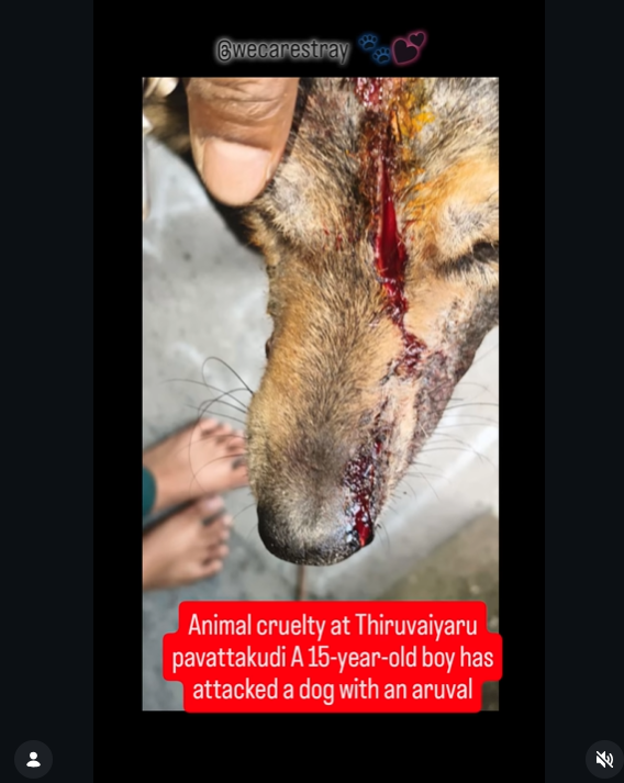 Dev_TempProfile tweet media