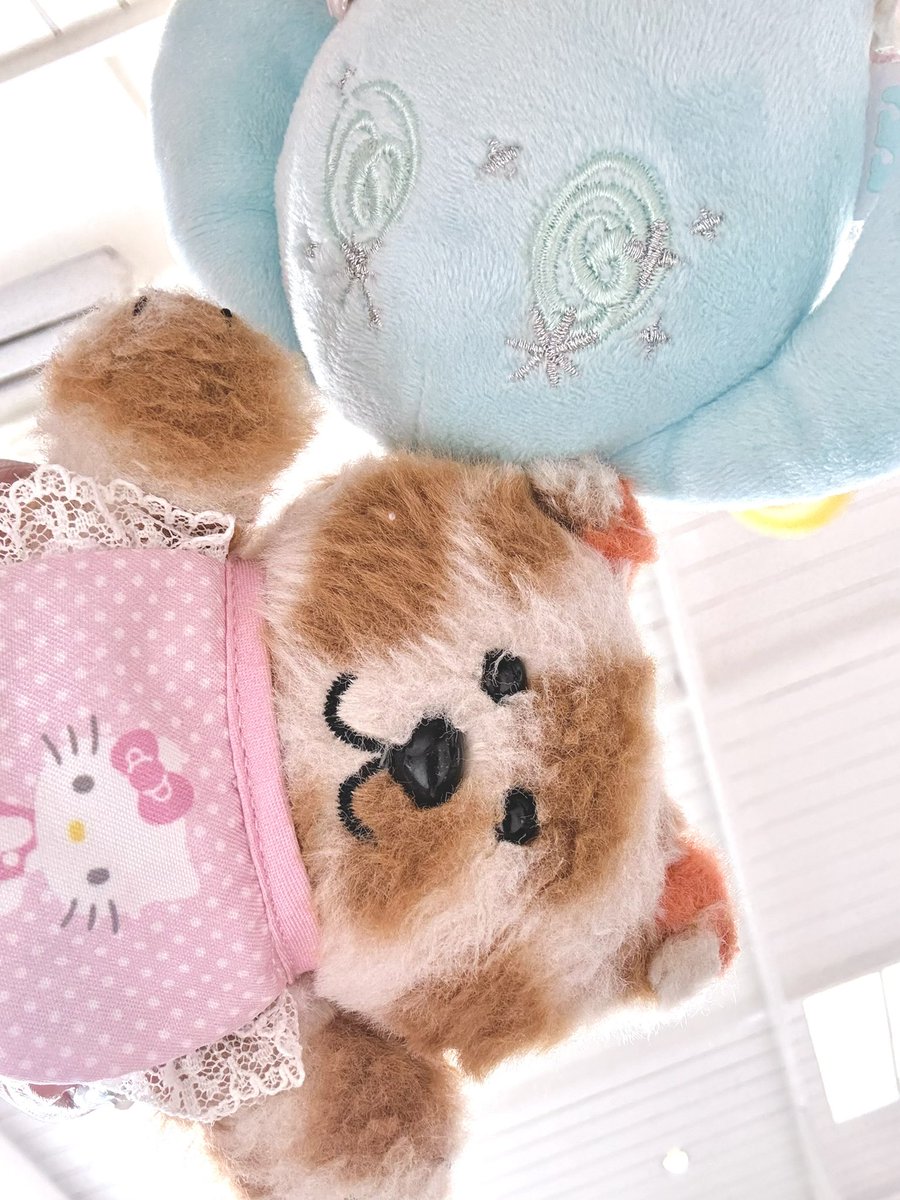 캣삐 ♥︎ 두두