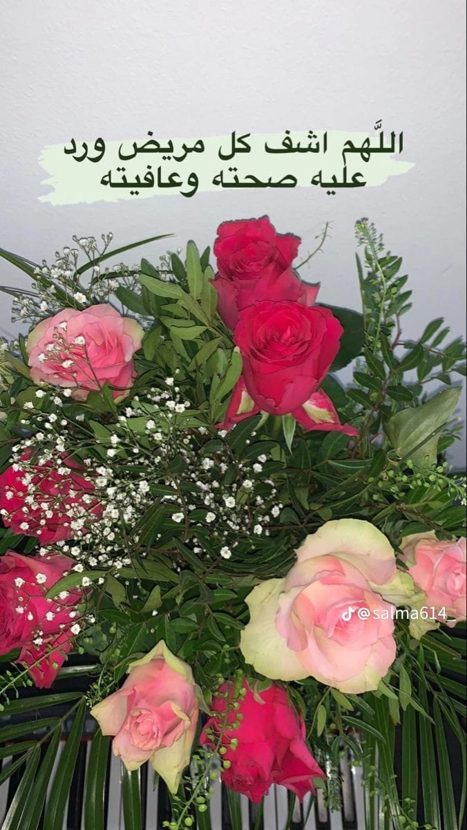 أبواسماعيل يوسف tweet media