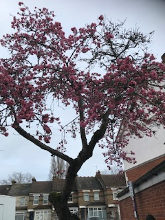 Thornton Heath Community Action Team tweet media