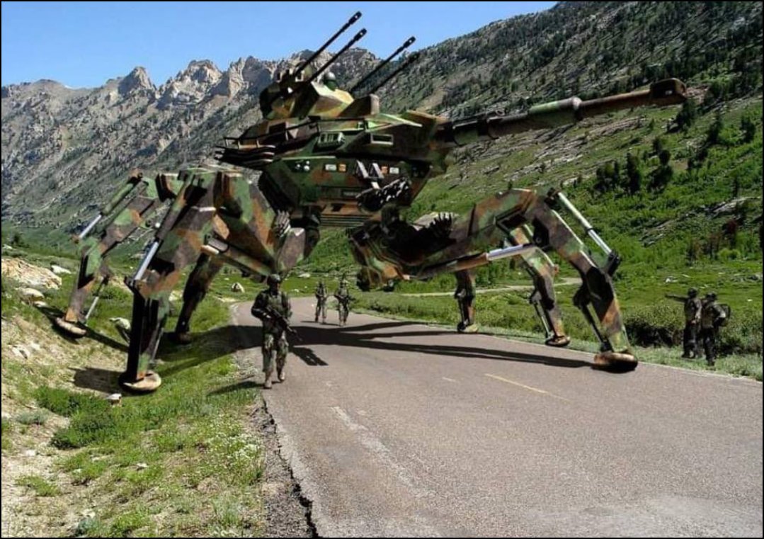 🇵🇱 tweet media