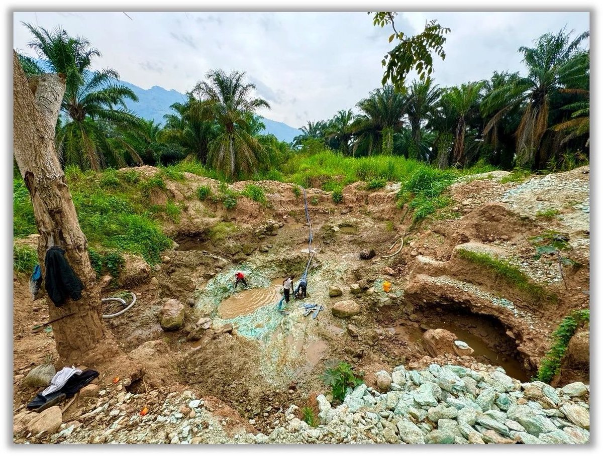 Katsuva_R's tweet image. Du cuivre au Nord-Kivu, précisément à Butembo !

Voici les premières images de ce cuivre exploité dans la région de #Bashu et la plaine inondable de la rivière #Talihya publiées par Copper Intelligence.
Les données préliminaires ont fourni des résultats satisfaisants avec du…
