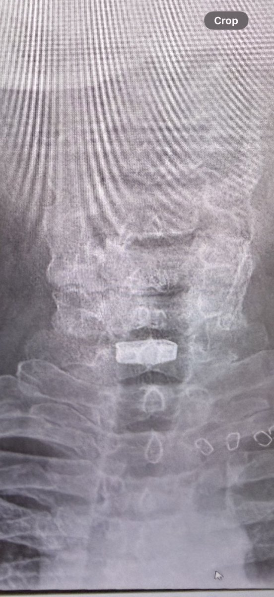 RAFAC _SESO tweet media