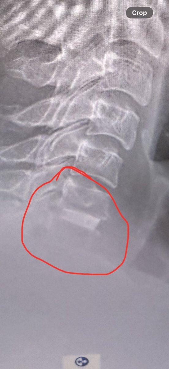 RAFAC _SESO tweet media