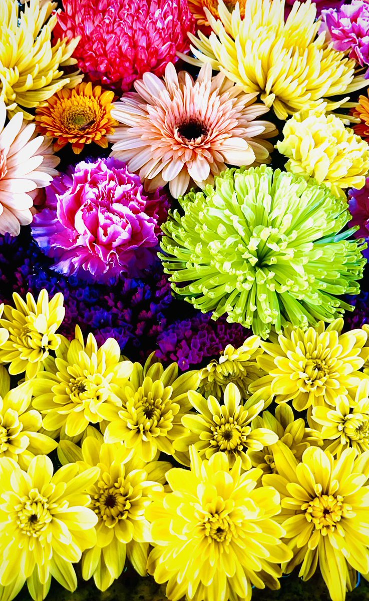 🎀🌸Rose(ﾛｰｽﾞ)🌸🎀 (@Rose210069297) / Posts / X