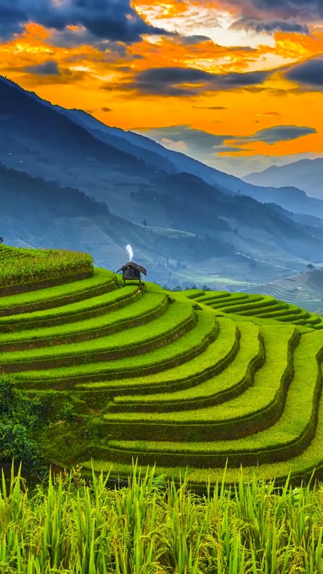 edgekmike's tweet photo. Chasing sunsets over rice terraces + sipping rice wine with local elders = the kind of travel magic that sticks.  #WanderWithHeart #RuralSerenity https://t.co/aZHE4NZu74