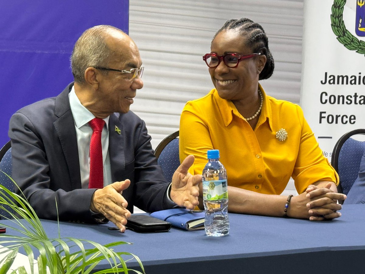 Ministry of National Security and Peace tweet media