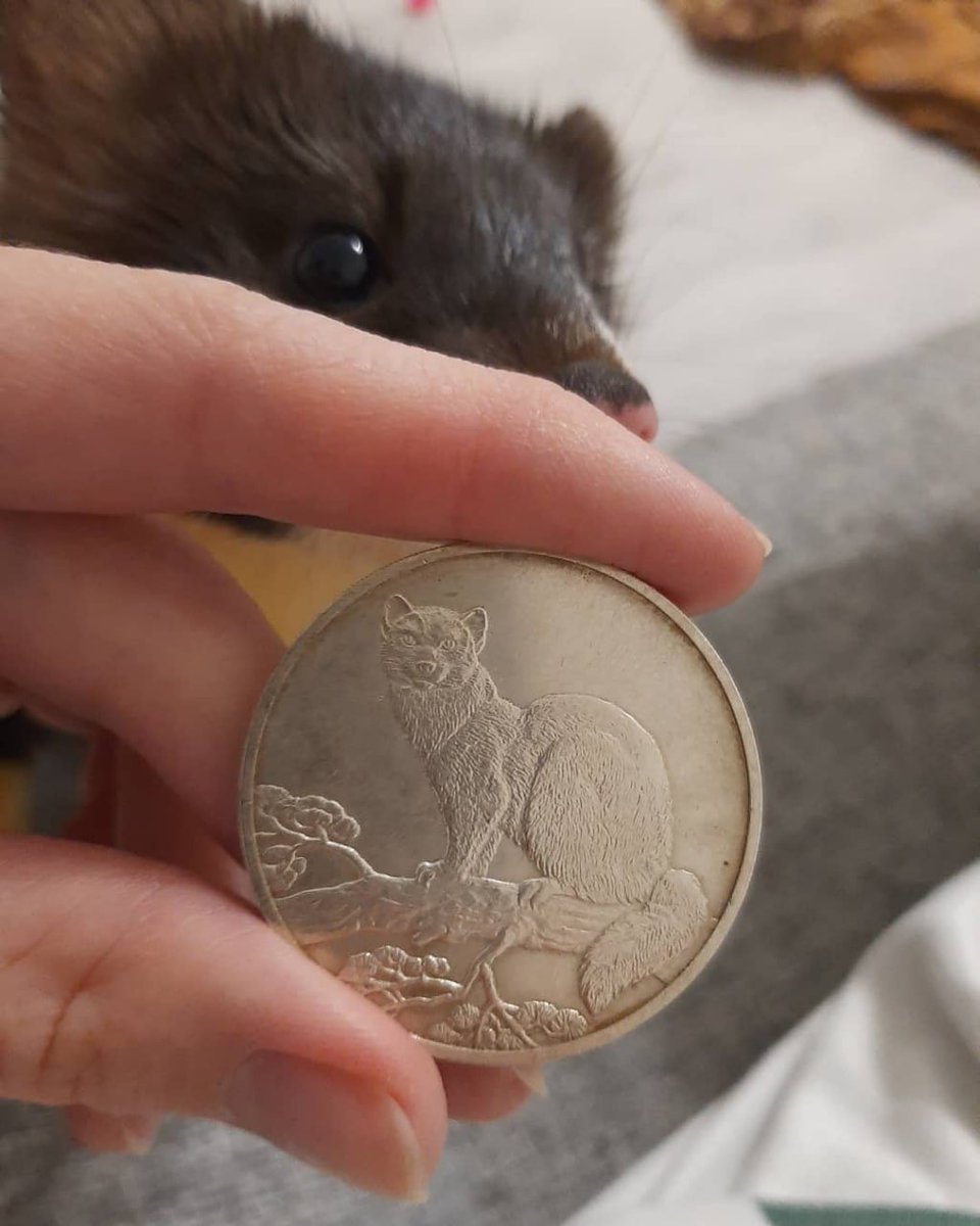 A minted coin from your kingdom? For me? But... It has your likeness, Ser...

Oh! Your grace... It is you!! I had no idea...