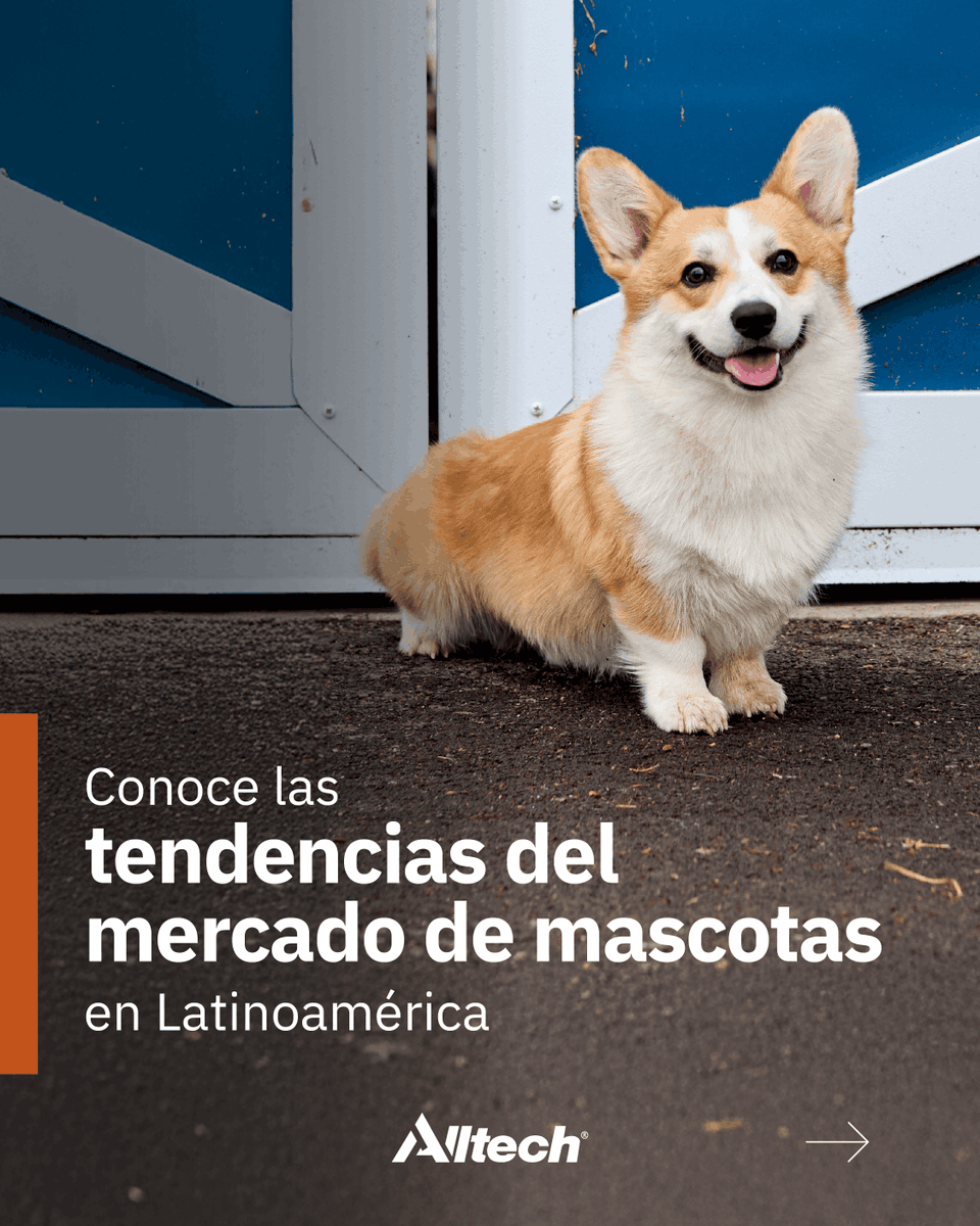 Alltech Latinomérica tweet media