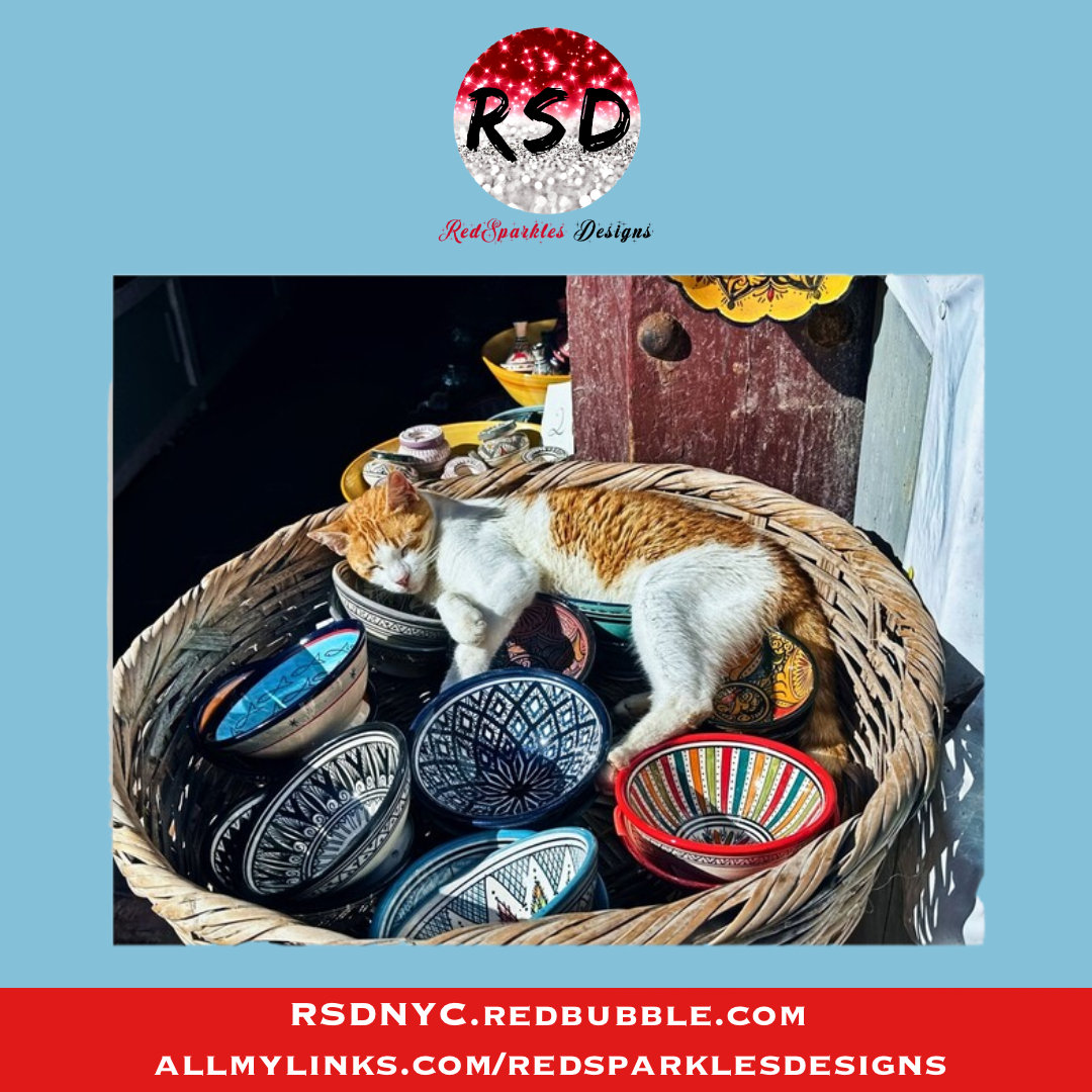 RedSparklesNYC's tweet photo. ESSAOUIRA MOROCCO BOWL KITTY PHOTOGRAPHIC PRINT 😺📸
A charming travel moment captured in Essaouira, Morocco—perfect wall art for cat lovers & travel fans.
👉 https://t.co/NFxGgrWaN3 via @redbubble
#Photography #Cats #Morocco #WallArt #RedBubbleStore #RSD #RedSparklesDesigns https://t.co/Jl8GlqV5Op