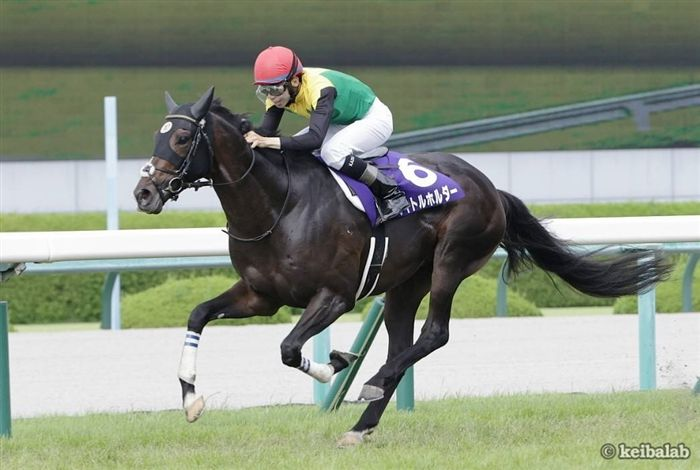 柘榴🐦‍⬛🦉🐦‍🔥 (@zakuro87) / Posts / X