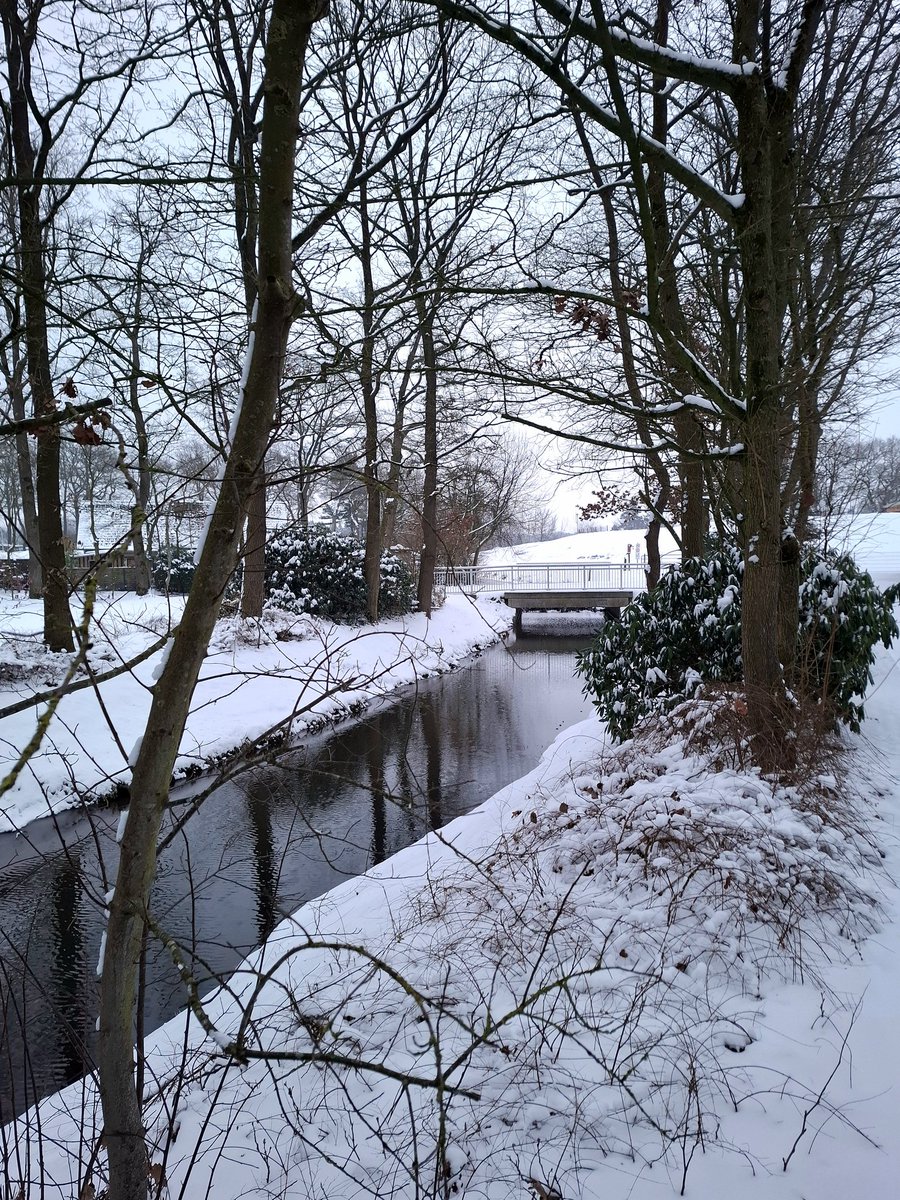 chriz31_07's tweet image. Share QP your favourite January Shots📸 

#Photography 
#January #nature