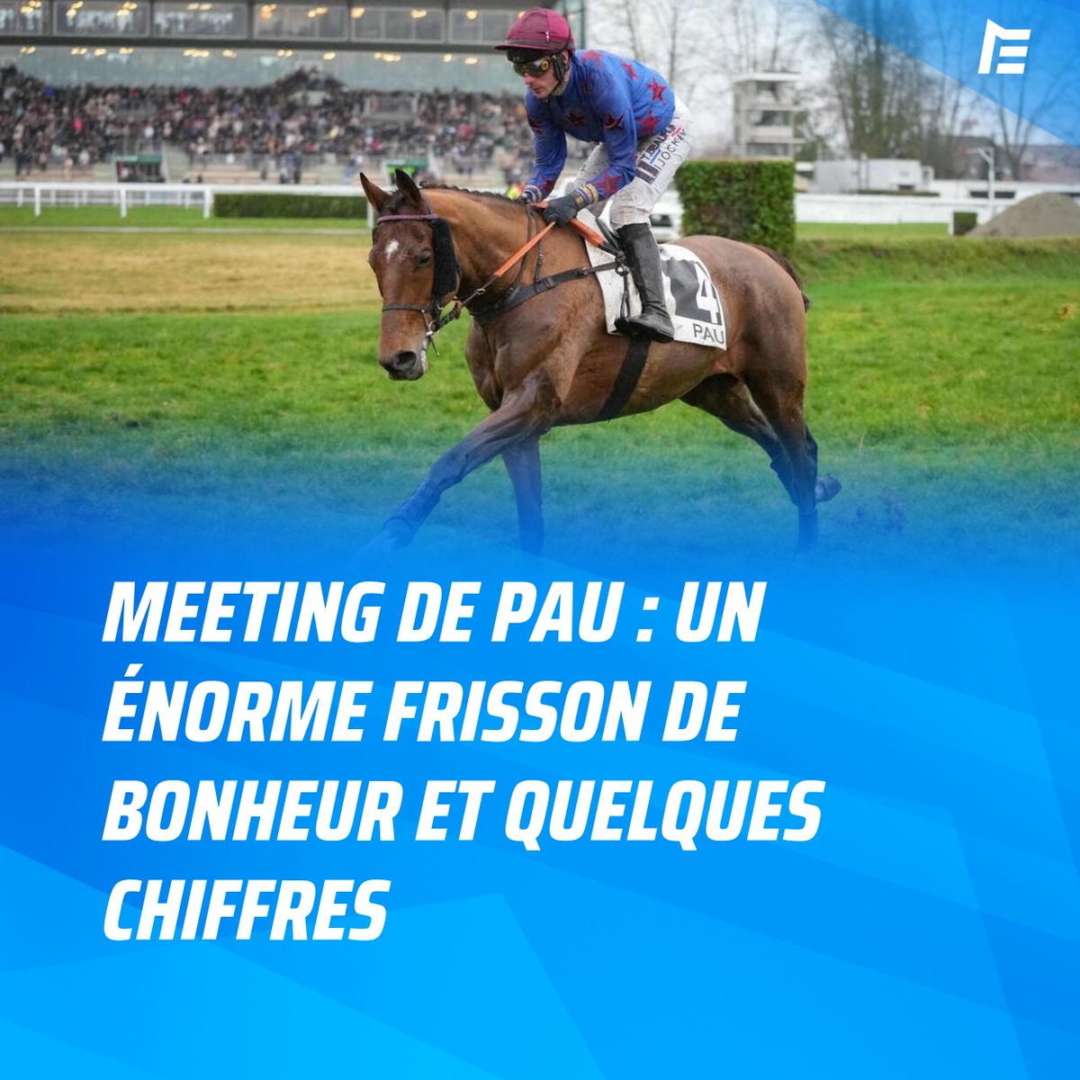 Meeting de Pau : Un énorme frisson de bonheur et quelques chiffres
➡️ l.equidia.fr/lBN