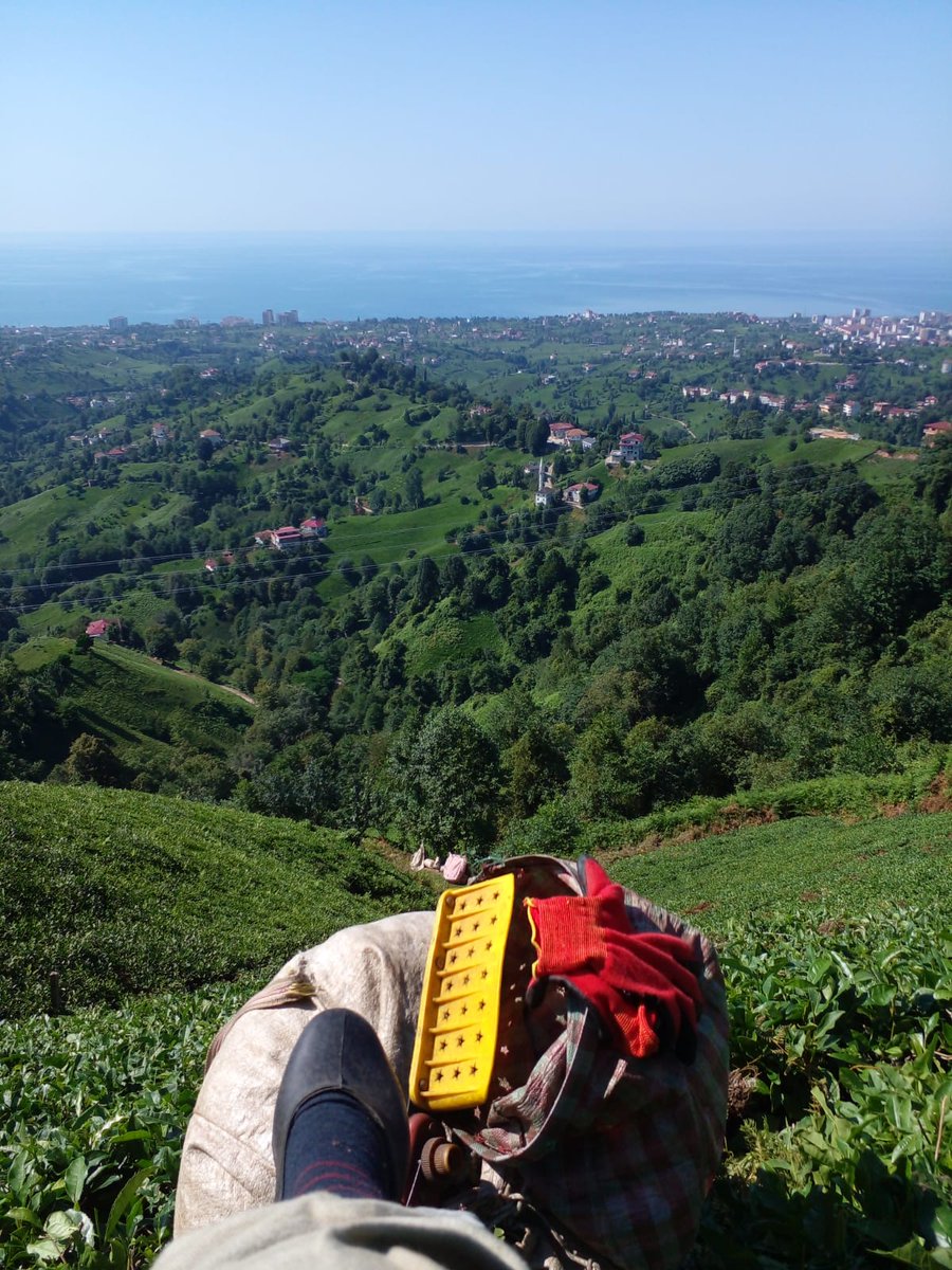 Ben giymem açık söyleyeyim ama Başkan hanımı destekliyorum.Bizim yöremizde şalvar kültürü yok.Olsa en fazla köyde giyerim rahat çünkü.Desteğinizi yapay zeka ile değil gerçek şalvarı giyip işe giderseniz şov değil samimi olduğuna o zaman inanırım.Kara lastiğimle ben daha samimiyim