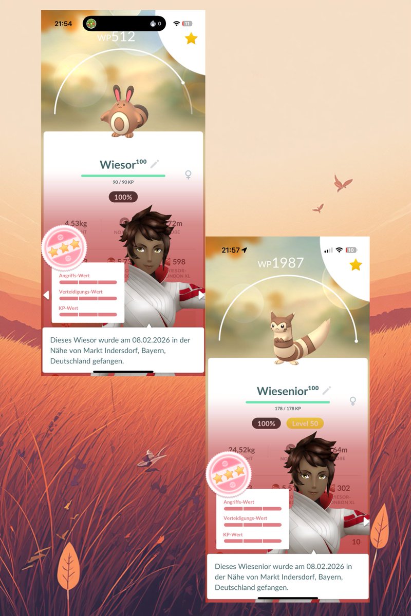prjctrnnng's tweet image. HOME SPAWN MAGIC LAST NIGHT! 😱✨

First ever hundo Sentret — Instant maxed Lv. 50 Furret! 🐿️💯 

#PokemonGo #Hundo #Furret #Sentret