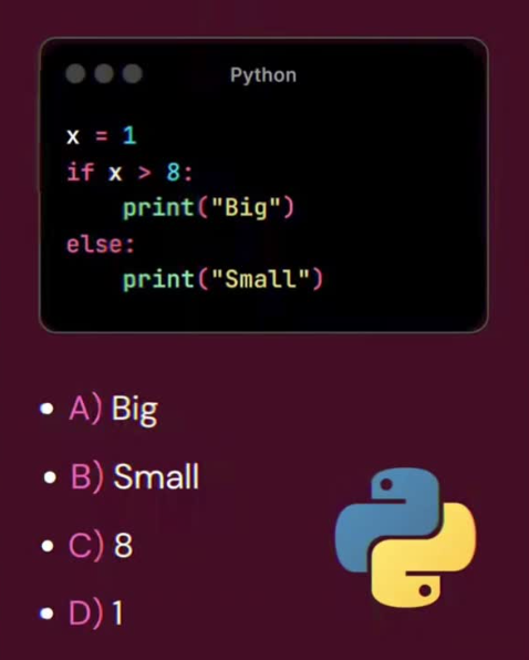 Python Programming tweet media