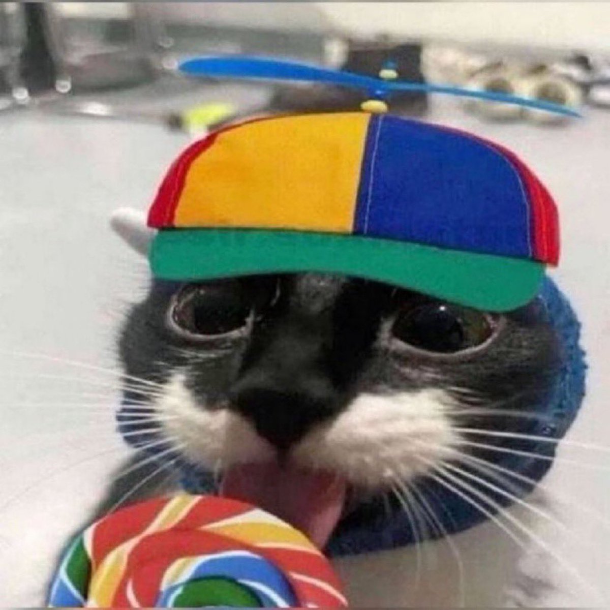 TFabris_'s tweet photo. o fomo é real nesse carnaval https://t.co/sYreY1rYQj