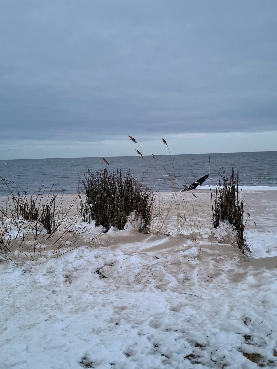 chriz31_07's tweet image. Share QP your favourite January Shots📸 

#Photography 
#January #nature