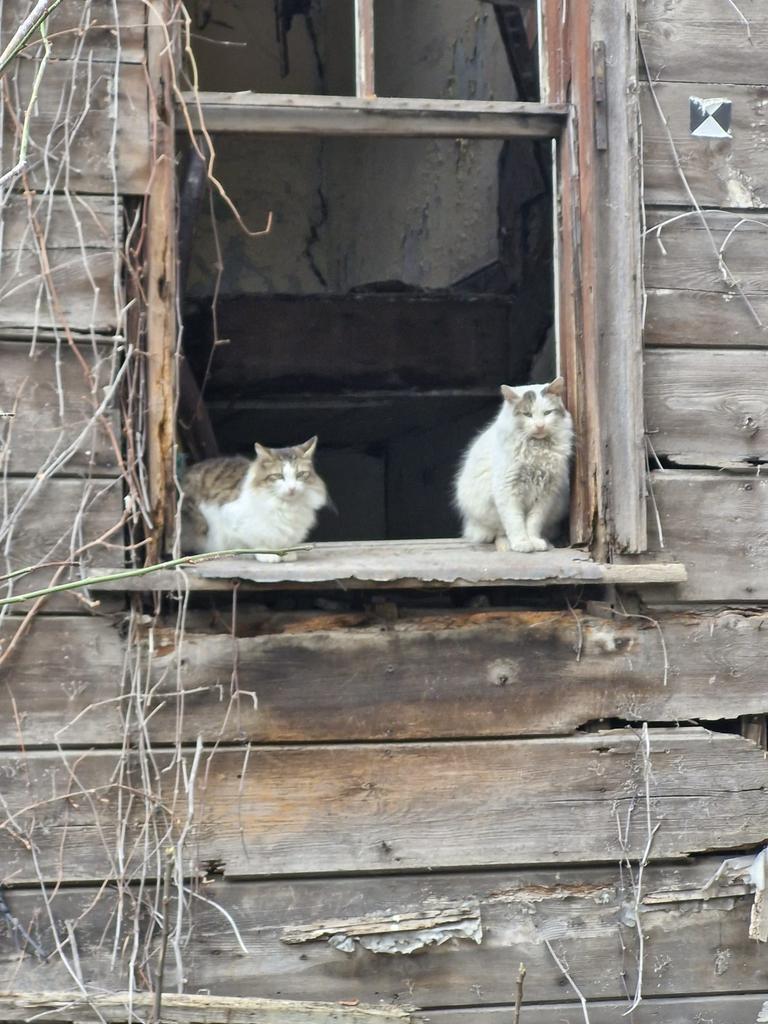 HAYIRLI HUZURLU MUTLU KEYİFLİ SAĞLIKLI AKŞAMLAR DİLİYORUM SEVGİLERİMLE ARKADAŞLAR