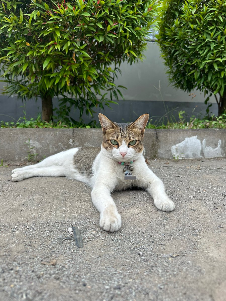 Sabtu plg bawa burung
Hari ini plg bawa tikus

🤡🤡🤡🤡🤡🤡🤡🤡