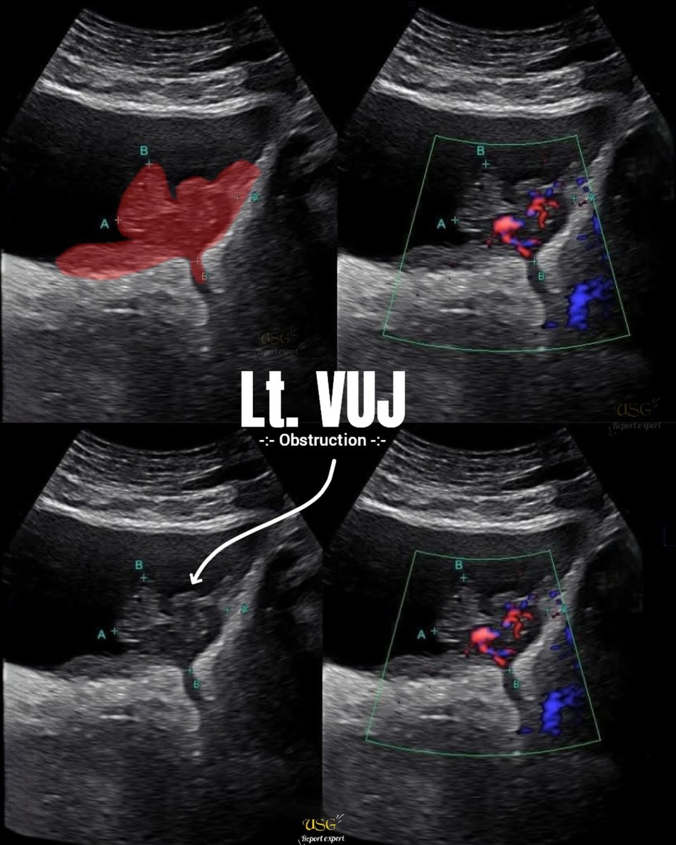 EchoTech tweet media