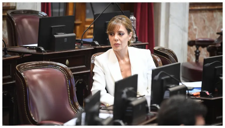 GOLPE A LAS PROVINCIAS
La senadora salteña Flavia Royón alertó por recursos para educación, salud y seguridad, cuestionó la baja de impuestos coparticipables sin compensación y sostuvo que no se puede exigir a las provincias resignar recursos sin discutir cómo reemplazarlos.