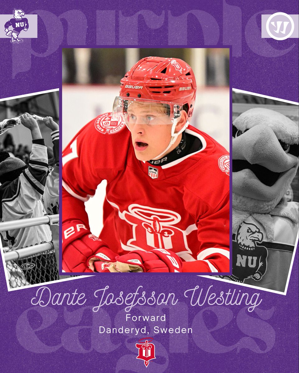 Niagara University Men's Hockey tweet media