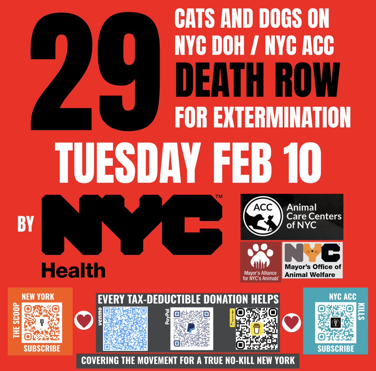 NYC DOH/ACC CARNAGE ALERT: <a href="/NYCMayor/">Mayor Zohran Kwame Mamdani</a> <a href="/NYCACC/">Animal Care Centers of NYC</a> <a href="/NYCHealthCommr/">Dr. Michelle Morse</a> <a href="/nycHealthy/">nychealthy</a> have 29 adoptable cats &amp; dogs set to die TOMORROW. Click for list.

drive.google.com/file/d/1sFsMlC…

NYers: Your local &amp; state reps can demand DOH stop the slaughter — 34,000+ since 2015.