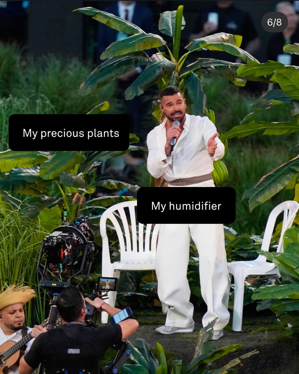 Bad Bunny. Good air.