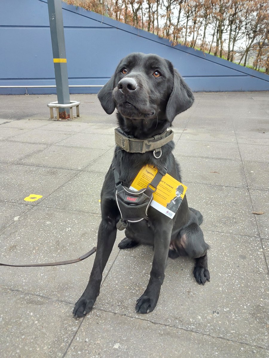 With support from PD Stan, officers have been completing #ProjectServator deployments across Stansted Airport today. Alongside specially trained dog units, we work day and night to ensure the airport is safe. Together we've got it covered.