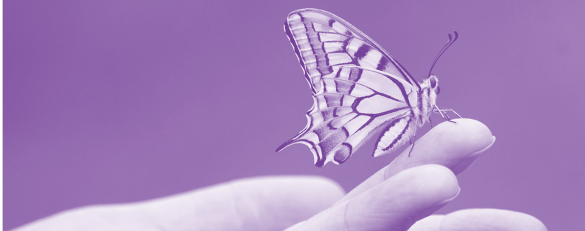 Lupus Society of IL tweet media